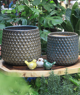 Bộ Chậu Tổ Ong Xanh Đậm
