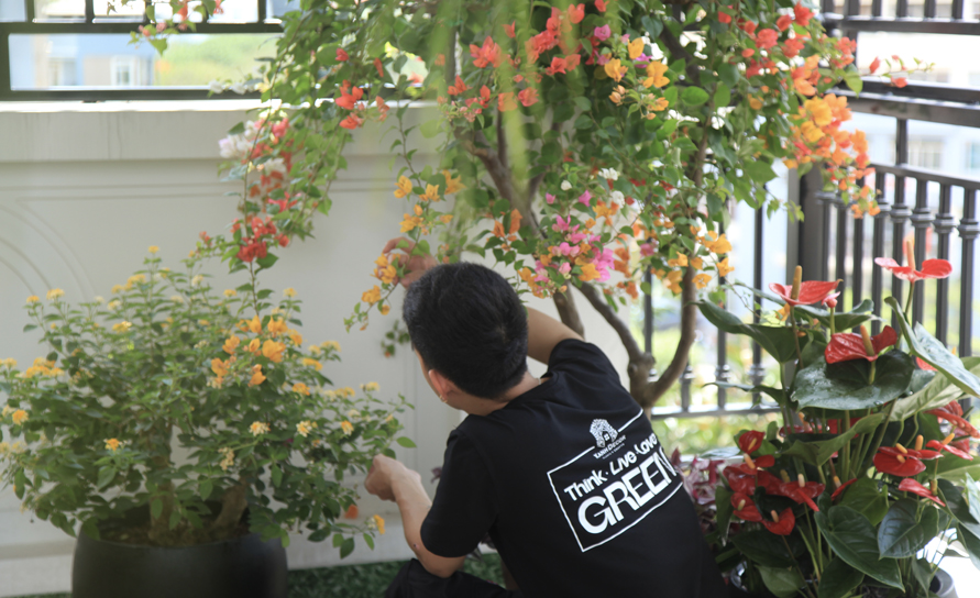 Ban công là nơi đón nắng, gió và sinh khí an lành cho ngôi nhà 