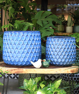 Bộ Chậu Tổ Ong Xanh Lam