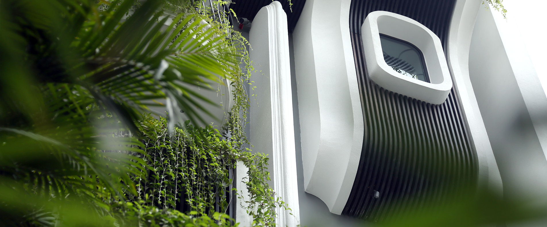 Banner 8