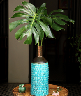 Green Summer Collection-x6