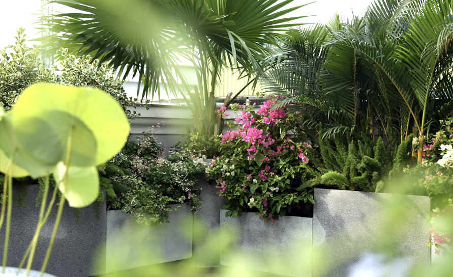 Colorful Rooftop Garden
