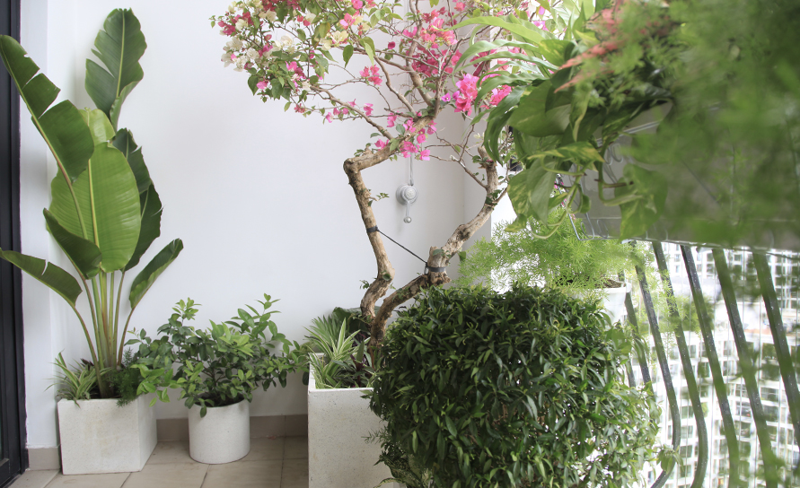 Ban Công Nhiều Màu Sắc - Vinhomes Royal City