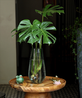 Green Summer Collection-x5