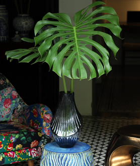Green Summer Collection-x8