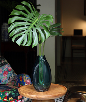 Green Summer Collection-x7
