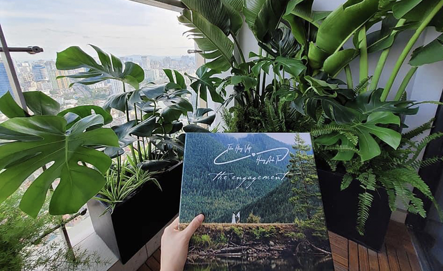 Khu vườn nhỏ xinh cho những cặp đôi yêu màu xanh