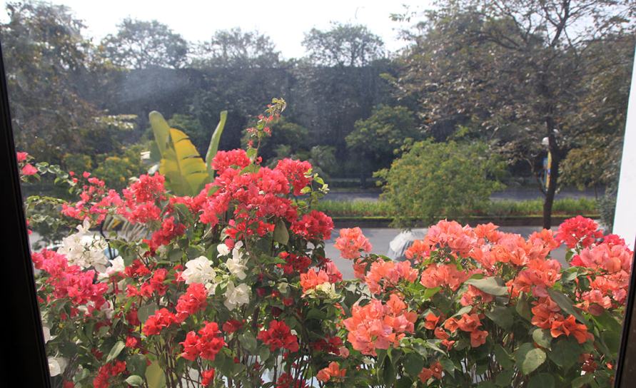 Garden in the city