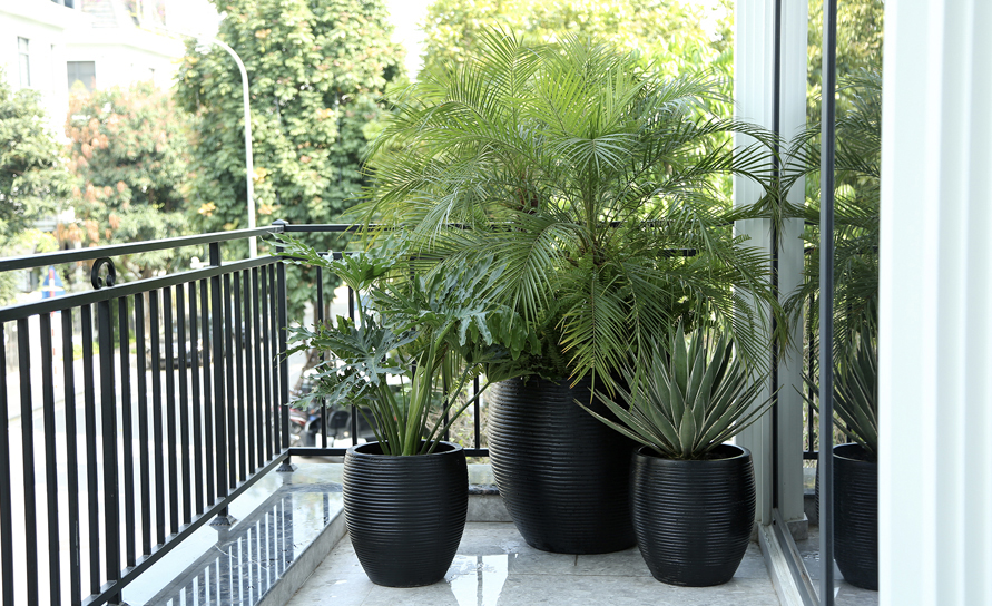 Ban Công – Lá Phổi Xanh Của Cả Gia Đình -Vinhome Green Bay