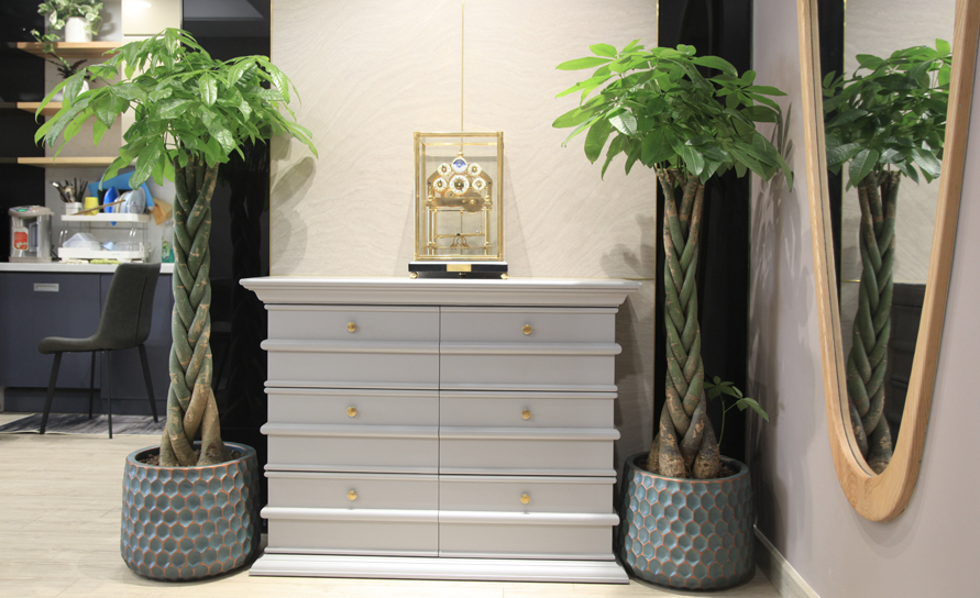 Xanh Decor - Kiến tạo không gian xanh theo một lối đi riêng