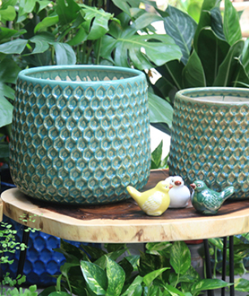 Bộ Chậu Tổ Ong Xanh Nhạt